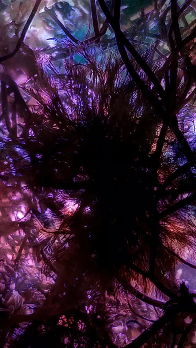 Seaweed visuals! 
Created from filming algea floating in water with video projections. 

#seaweed #algea #experimental #vj #visuals #touchdesigner #mrgrey #pinkcloud_crew #trippyvisuals
